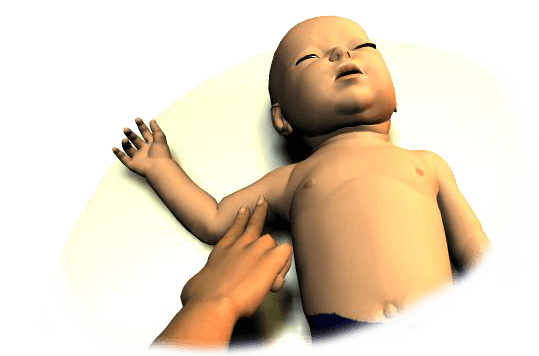 Use the brachial artery to check for a pulse on an infant victim