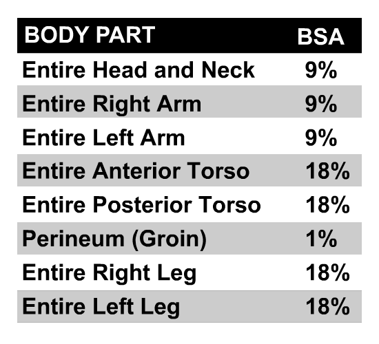 The Total Body Surface Area can be quickly calculated using the Rule of 9's