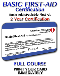 Basic First Aid Course - Adult/Pediatric 